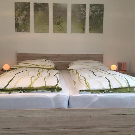 Haus Beate, Fewo Im Bienenparadies Kirchberg  エクステリア 写真