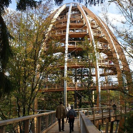 Haus Beate, Fewo Im Bienenparadies Kirchberg  エクステリア 写真