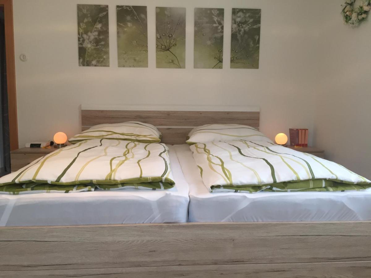 Haus Beate, Fewo Im Bienenparadies Kirchberg  エクステリア 写真