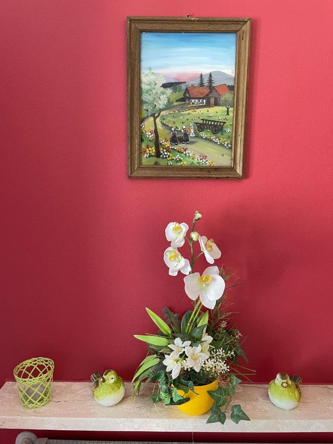Haus Beate, Fewo Im Bienenparadies Kirchberg  エクステリア 写真