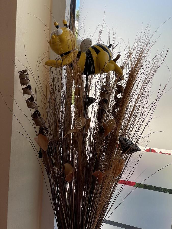 Haus Beate, Fewo Im Bienenparadies Kirchberg  エクステリア 写真