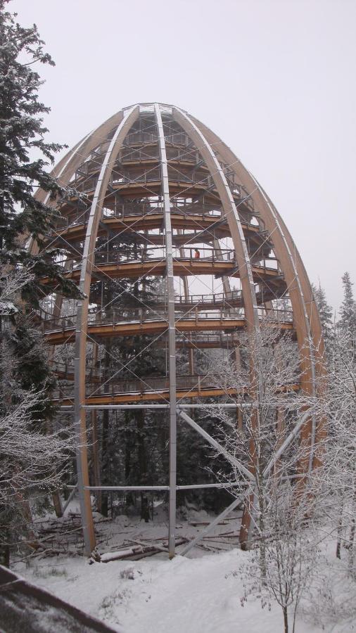 Haus Beate, Fewo Im Bienenparadies Kirchberg  エクステリア 写真